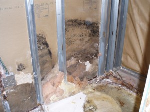 Idaho Falls Mold Damage Restoration